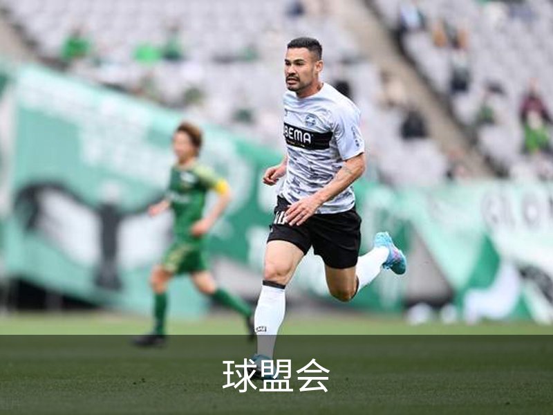 关于球盟会